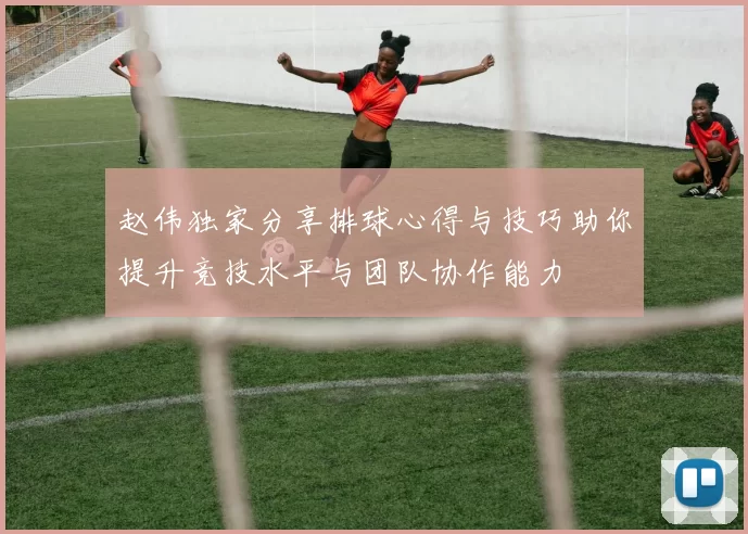 赵伟独家分享排球心得与技巧助你提升竞技水平与团队协作能力
