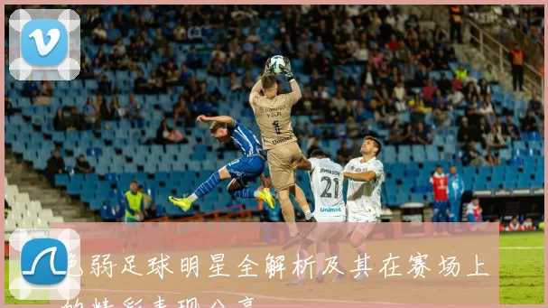 色弱足球明星全解析及其在赛场上的精彩表现分享