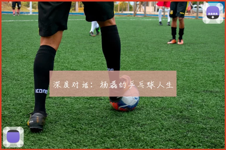 深度对话：杨磊的乒乓球人生