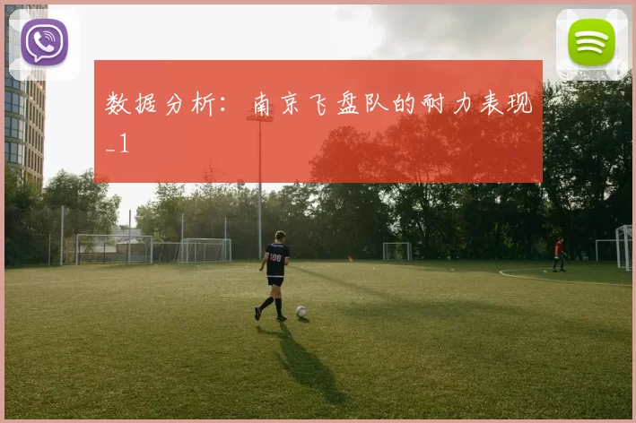 数据分析：南京飞盘队的耐力表现_1
