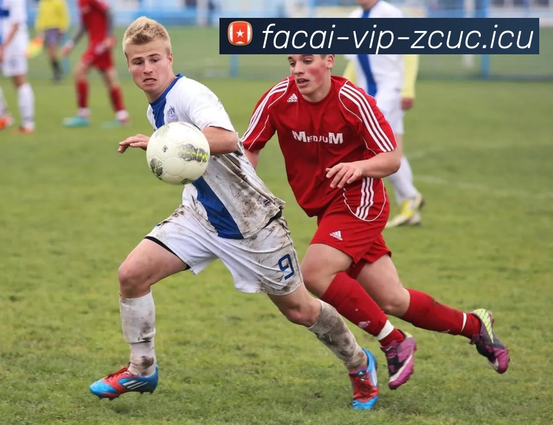 乐鱼体育APP 高清赛事图