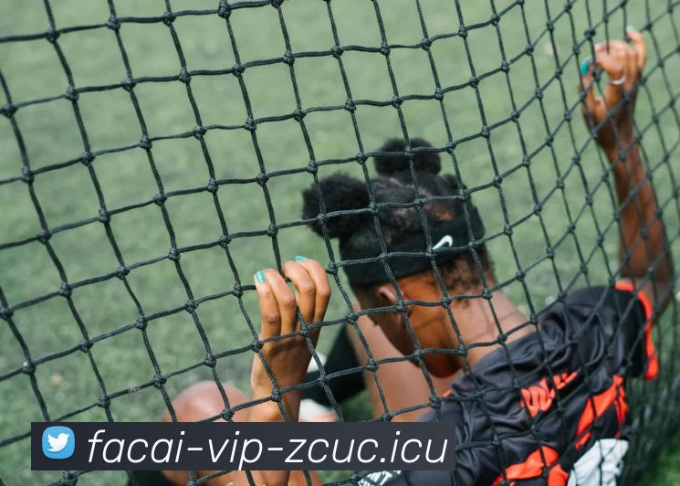 数据防护可视化